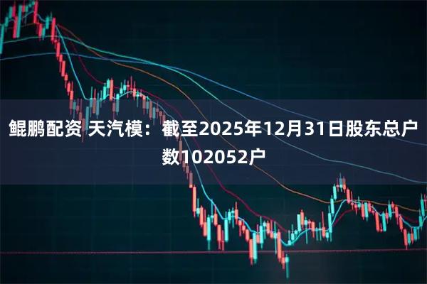 鲲鹏配资 天汽模：截至2025年12月31日股东总户数102052户